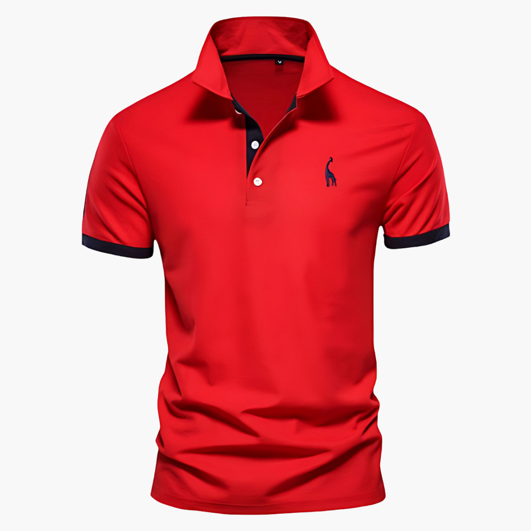 Καθημερινό Polo με Χρώμα